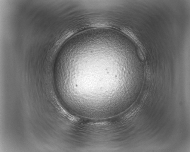 X0000052580433200507081732