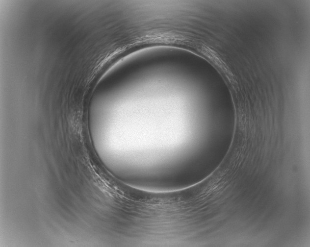 X0000052580434200507081732