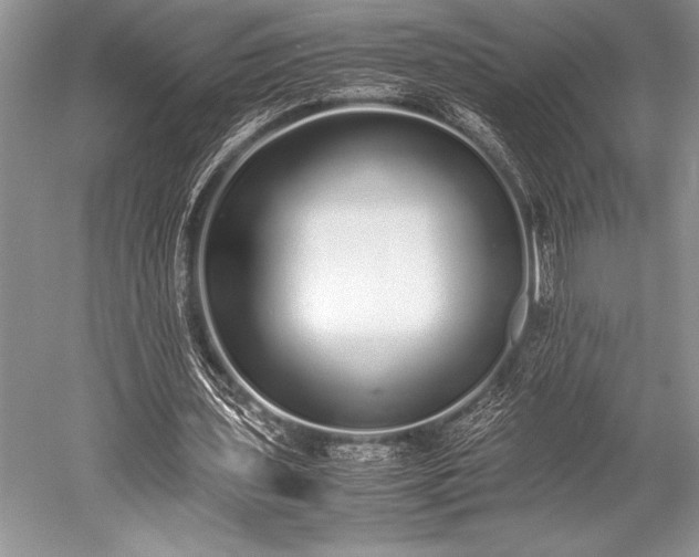X0000052580435200507081732