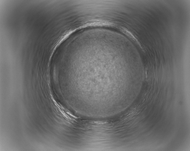 X0000052580436200507081732