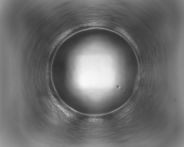 X0000052580437200507081732