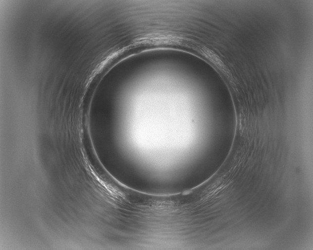 X0000052580438200507081732
