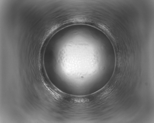 X0000052580439200507081732