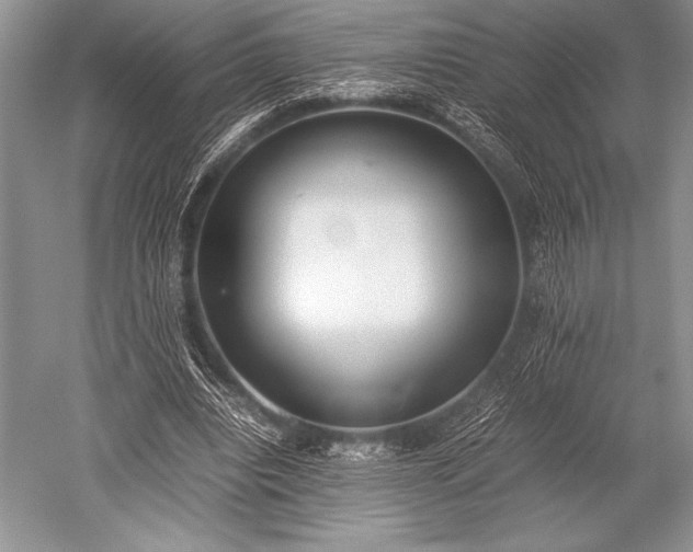 X0000052580440200507081732