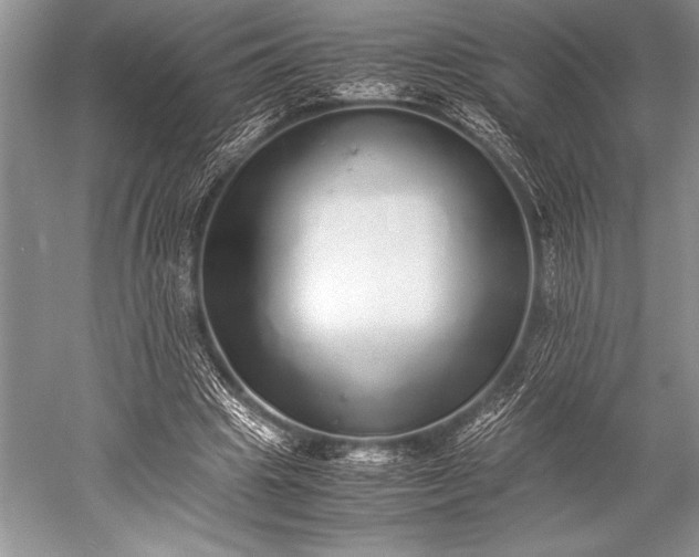 X0000052580441200507081732