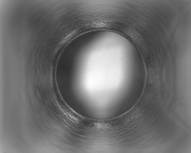 X0000052580442200507081732