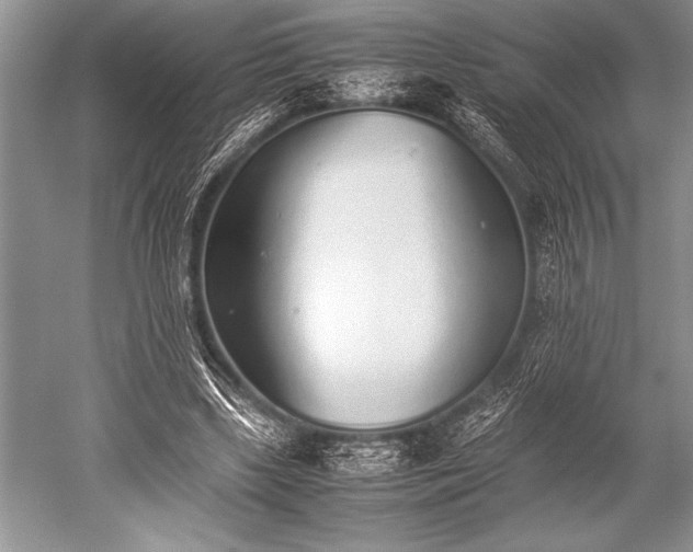 X0000052580443200507081732