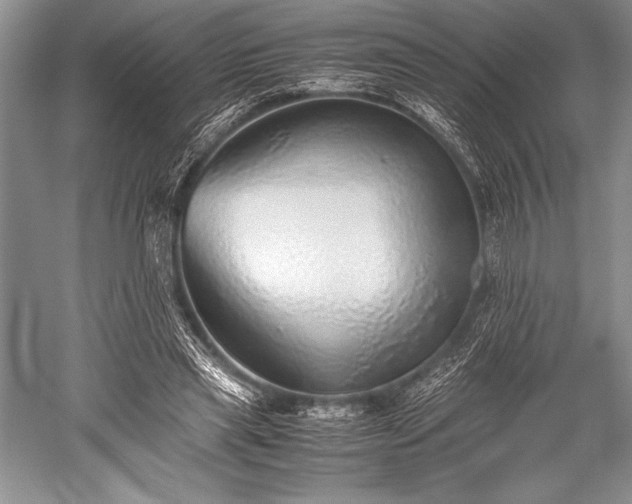 X0000052580445200507081732