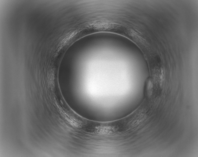 X0000052580448200507081732
