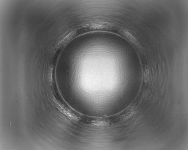 X0000052580454200507081732