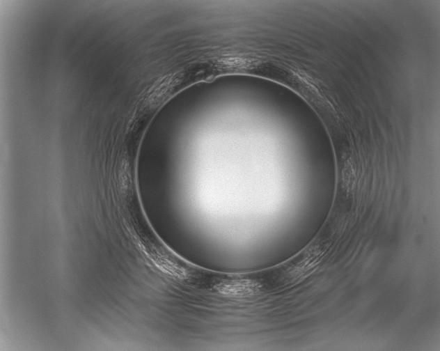 X0000052580459200507081732