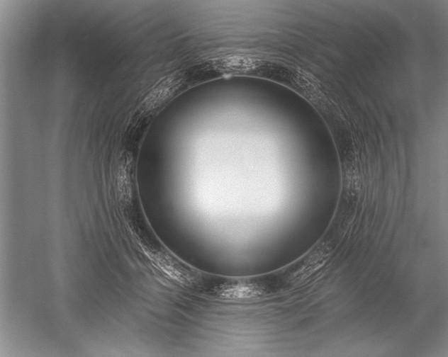 X0000052580460200507081732