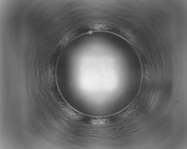 X0000052580461200507081732