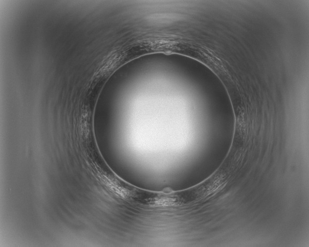 X0000052580462200507081732