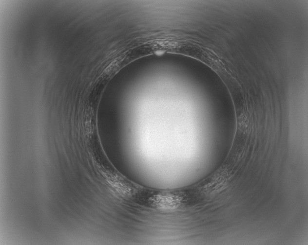 X0000052580464200507081732