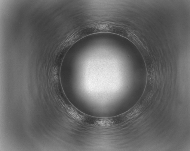 X0000052580466200507081732