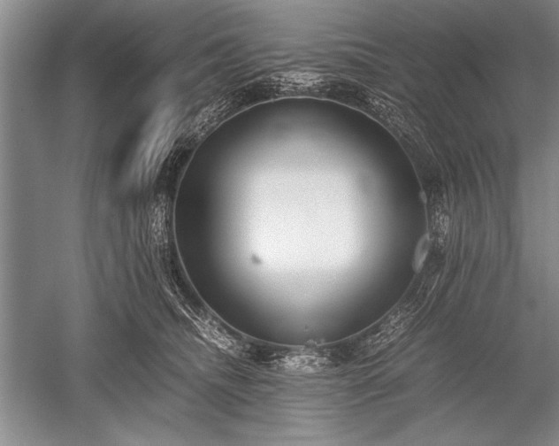 X0000052580468200507081732