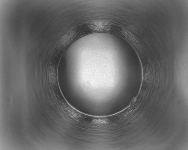 X0000052580469200507081732