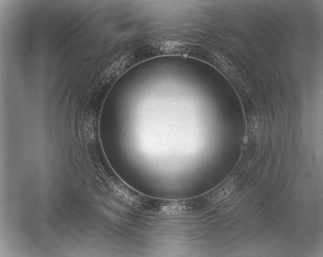 X0000052580470200507081732