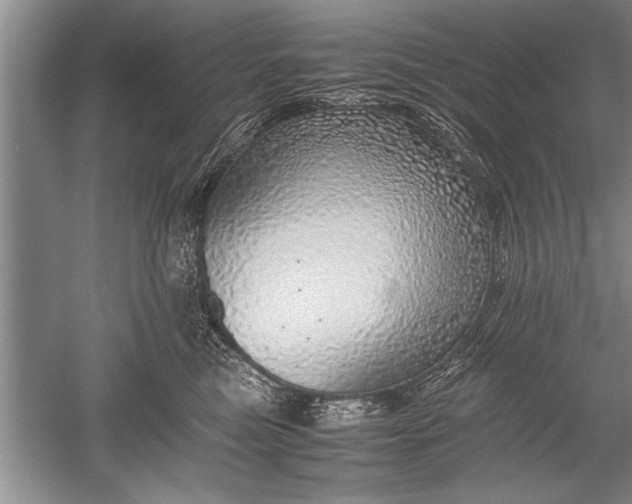 X0000052580473200507081733