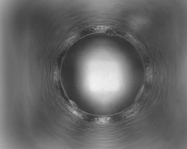 X0000052580474200507081733