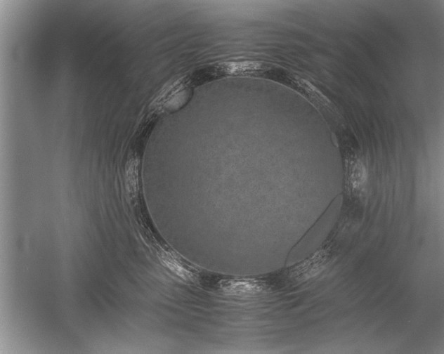 X0000052580475200507081733