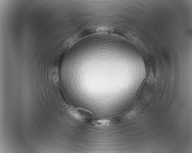 X0000052580478200507081733