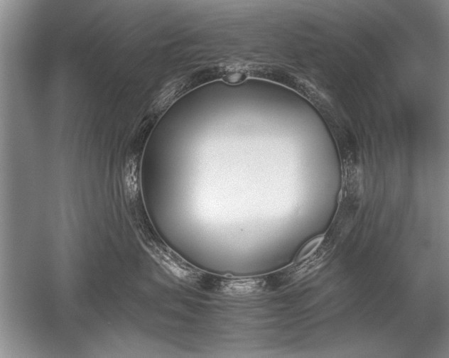 X0000052580479200507081733