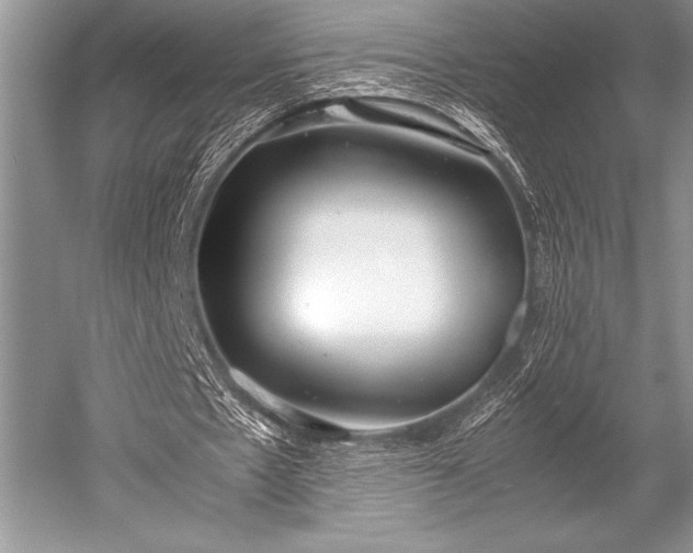 X0000052580481200507081732