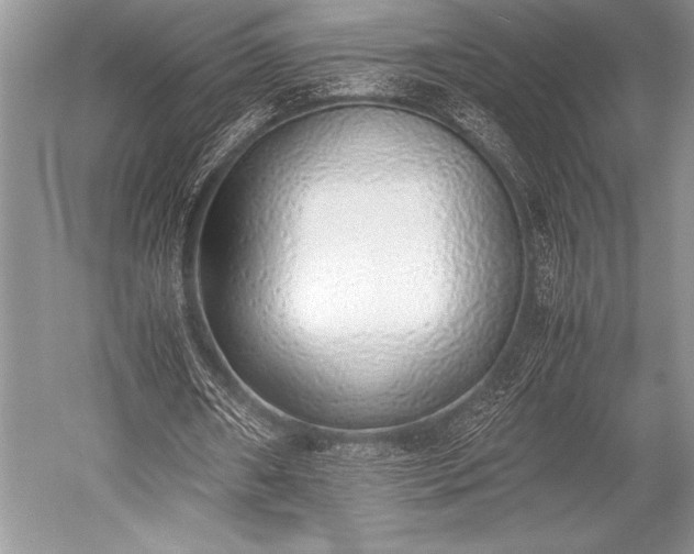 X0000052580482200507081732