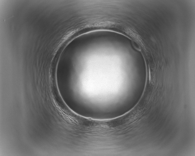 X0000052580483200507081732