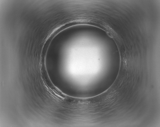 X0000052580484200507081732