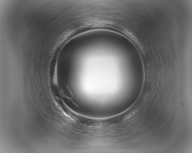 X0000052580485200507081732