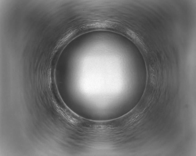 X0000052580486200507081732
