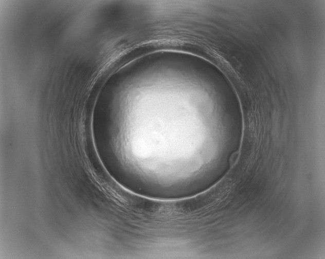 X0000052580487200507081732