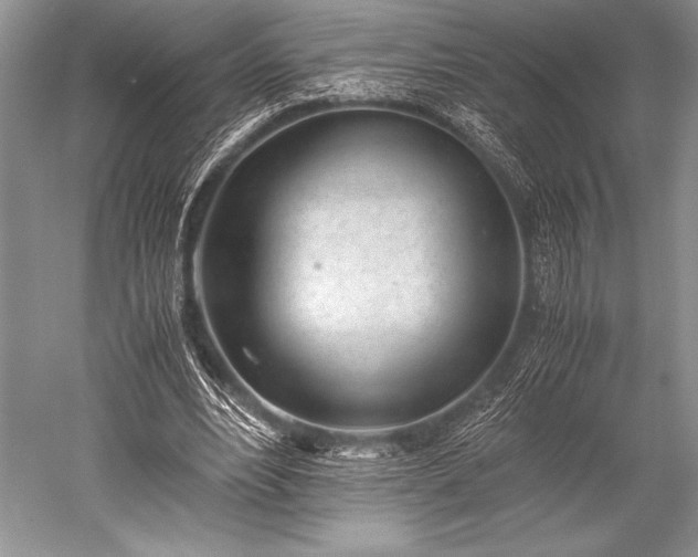 X0000052580488200507081732