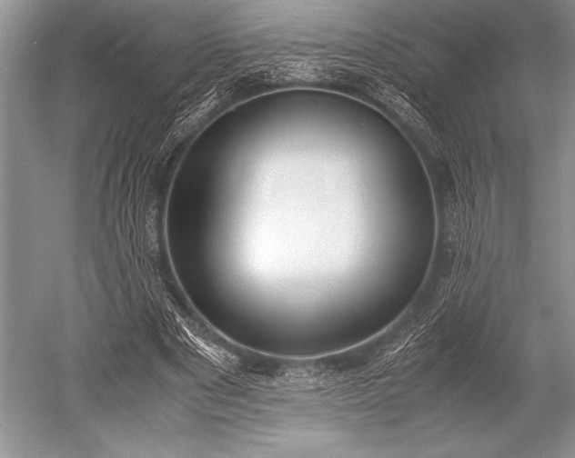 X0000052580489200507081732