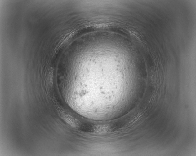 X0000052580495200507081732