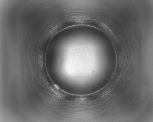 X0000052580497200507081732