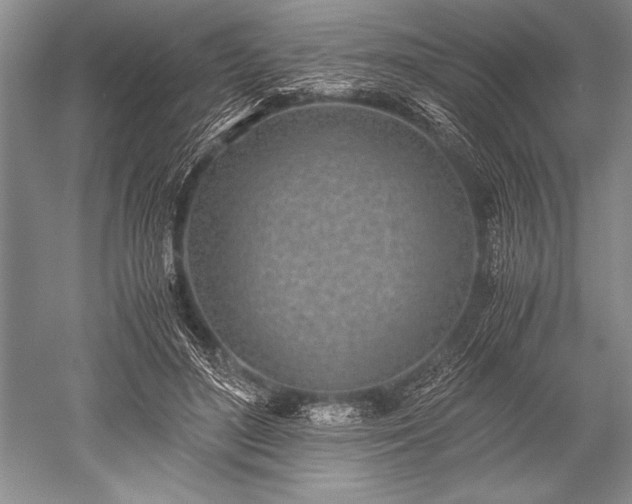 X0000052580500200507081731
