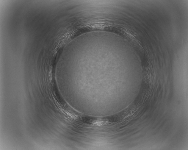 X0000052580504200507081731