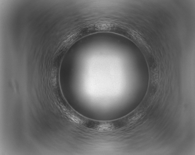 X0000052580505200507081731