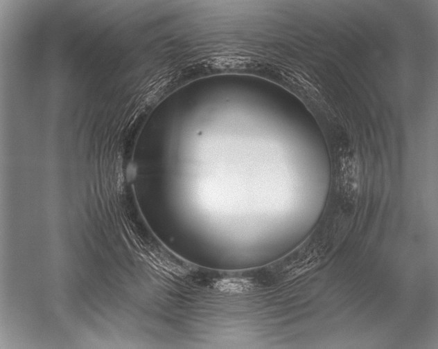 X0000052580508200507081731