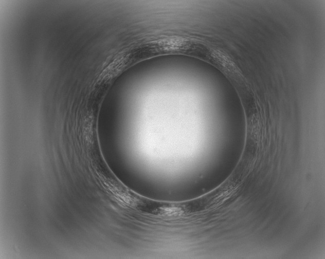 X0000052580509200507081731