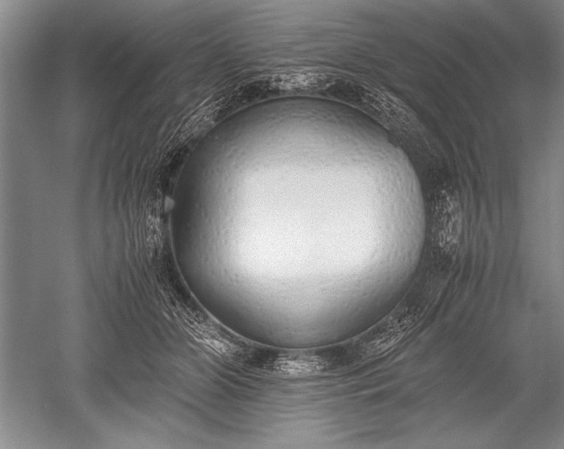 X0000052580510200507081731
