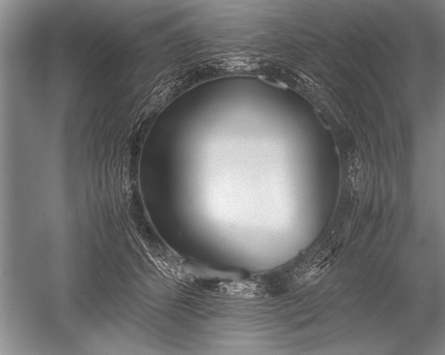 X0000052580512200507081731