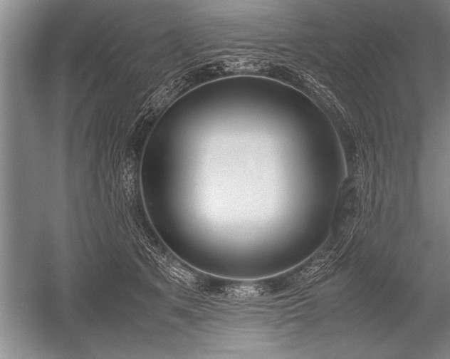 X0000052580513200507081731
