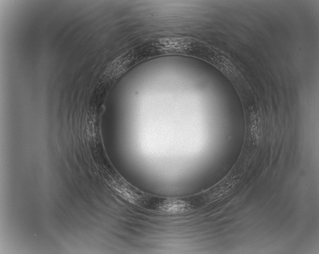 X0000052580514200507081731