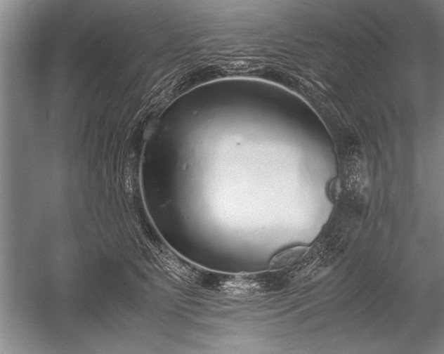 X0000052580515200507081731