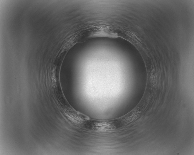 X0000052580516200507081731